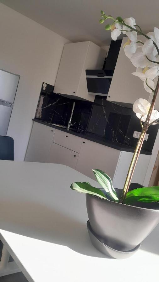 Apartma Ana Koper Bagian luar foto
